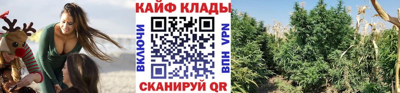 Купить закладку МЕТАДОН Cocaine NBOMe Alpha-PVP МЕФ Марихуана ГАШ Лахденпохья