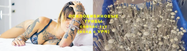 эйфоретик Киренск