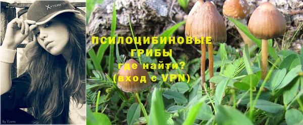 MDMA Кинешма