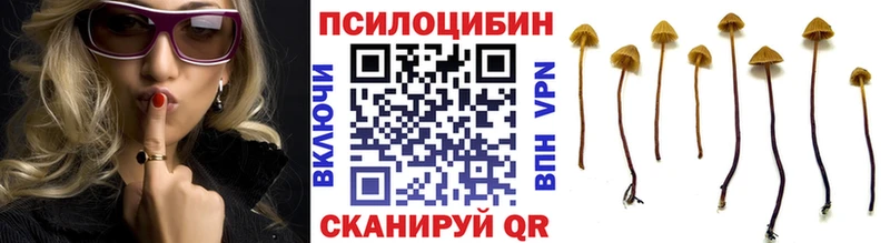 Купить  Лахденпохья  Галлюциногенные грибы GOLDEN TEACHER 